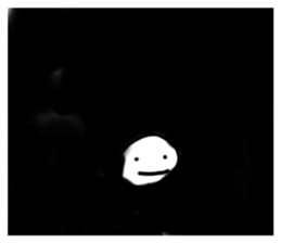 723772163