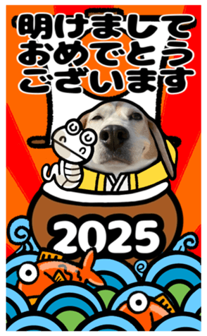 723780209
