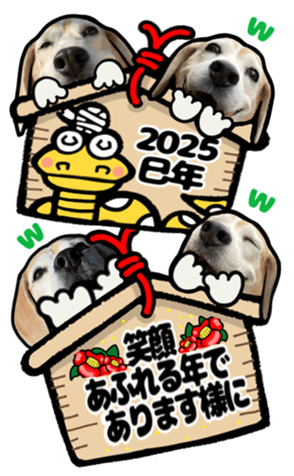 723780211