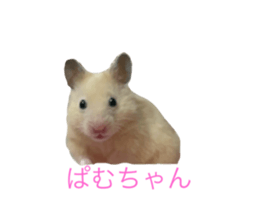 723781137