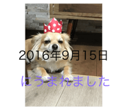 723792342