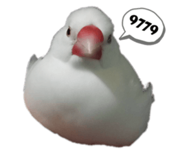 723796054