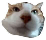 723802585