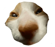 723802600