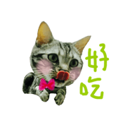 72380870