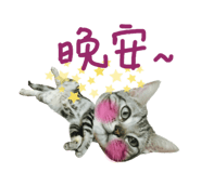 72380873