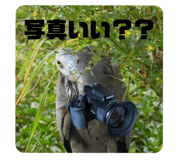 723839344