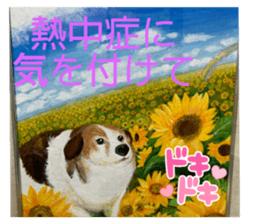 723850661