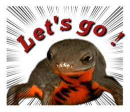 723882037