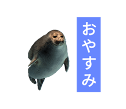 723926241
