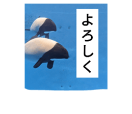 723926246