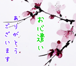 723963703