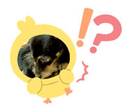 723979056