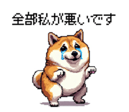 723983023