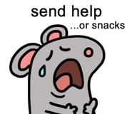 723995750
