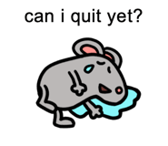 723995778