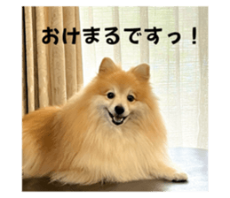724009137