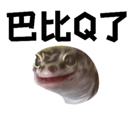 724057308