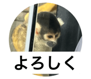 724062993