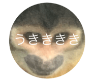 724062997