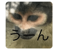 724062999