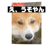 724093004