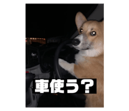 724093006