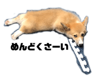 724093007