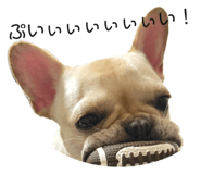 724134555