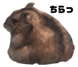 724148090