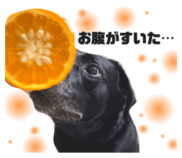 724153527