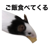 724185351