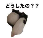 724185352