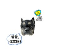 724256364