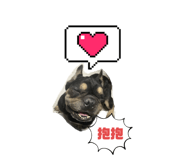 724256365