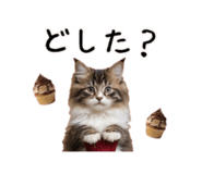 724261690