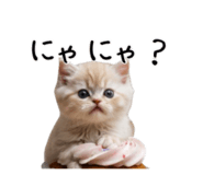 724261692