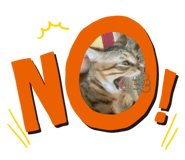 724286494