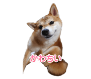 724296115
