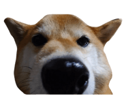 724296118