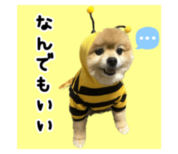 724296888