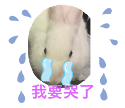 724303948