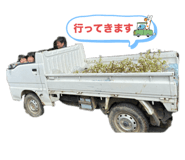 724307446