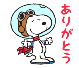 7243197