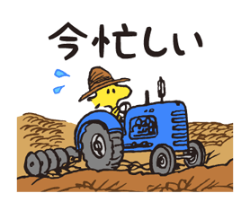 7243199