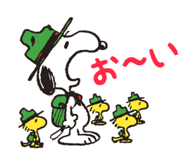 7243200