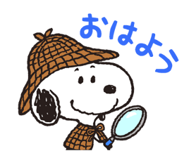 7243213