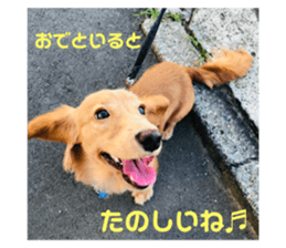 724335720