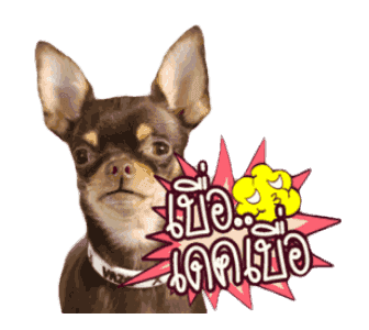 สัตว์เลี้ยงแสนน่ารักดุ๊กดิ๊ก พูดได้ VRZO รูปที่ 4