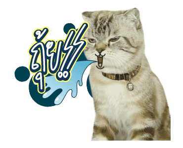 สัตว์เลี้ยงแสนน่ารักดุ๊กดิ๊ก พูดได้ VRZO รูปที่ 8